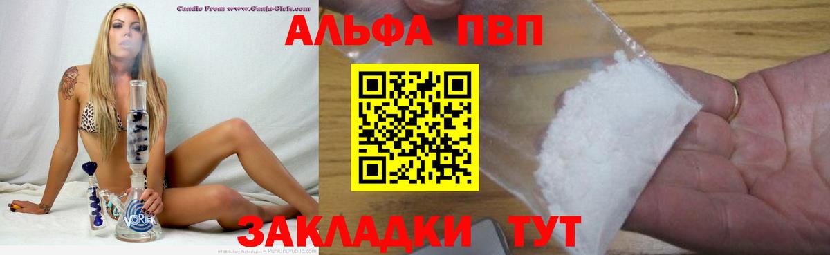 Альфа ПВП СК КРИС Шебекино