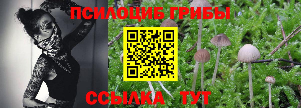 Шебекино  Галлюциногенные грибы MAGIC MUSHROOMS  Вход с VPN  Псилоцибиновые грибы ЛСД 