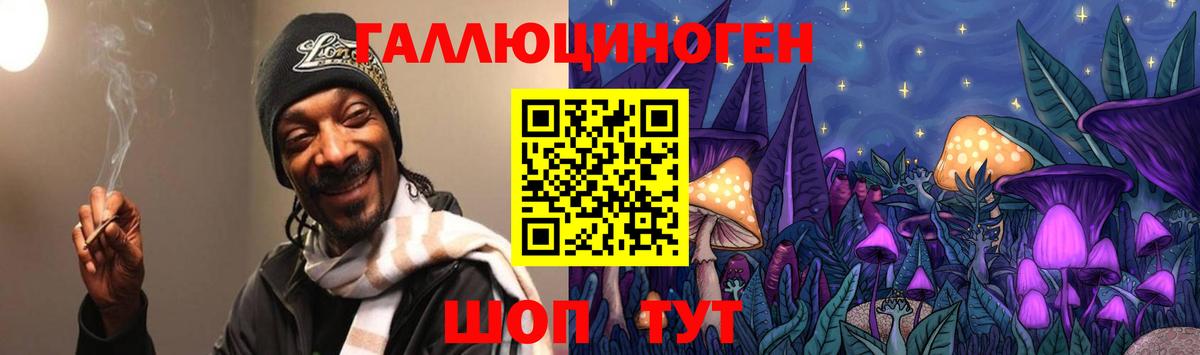 Псилоцибиновые грибы Psilocybe Шебекино